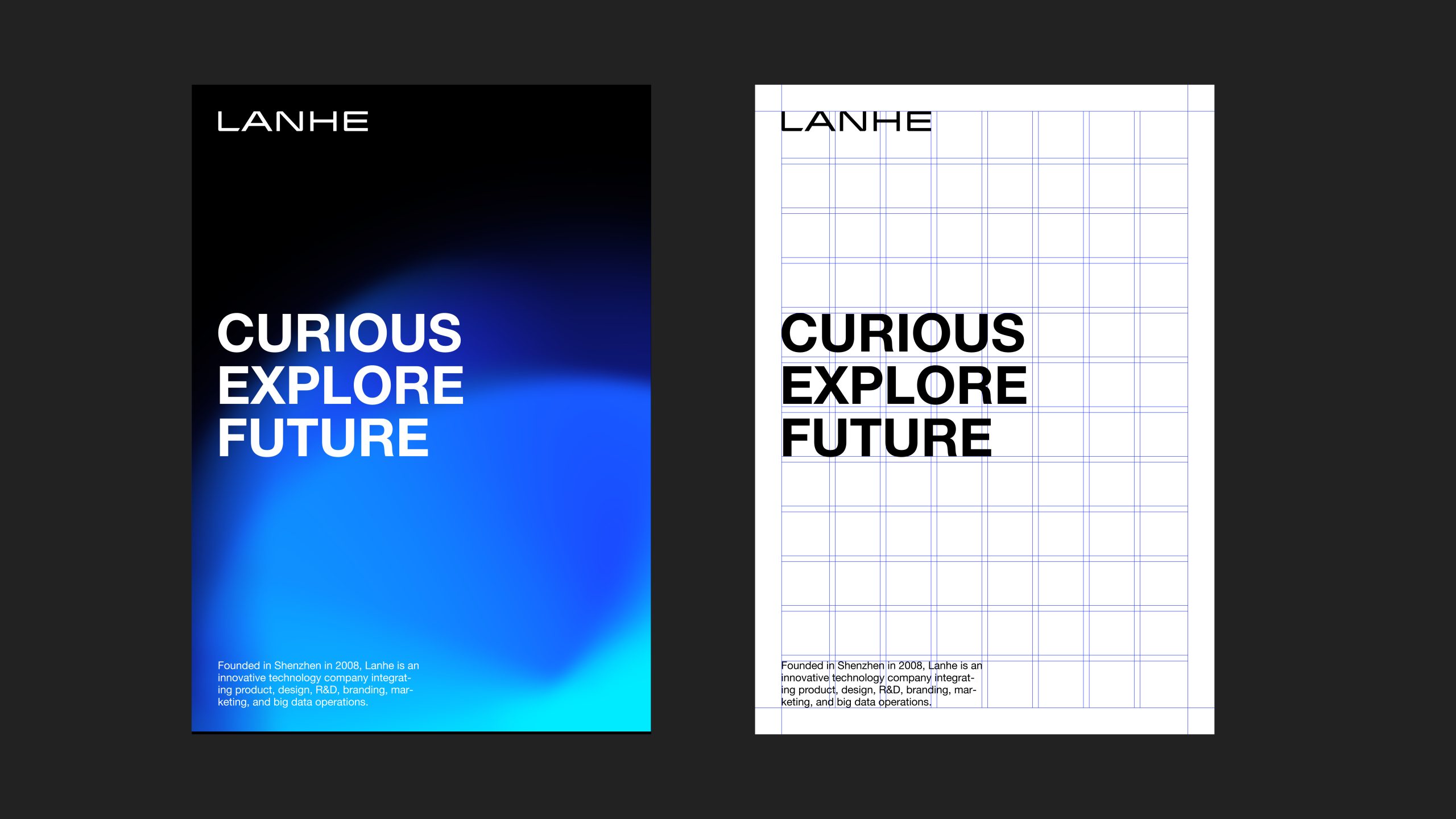 蓝禾视觉升级—平面 画板 1 副本 11