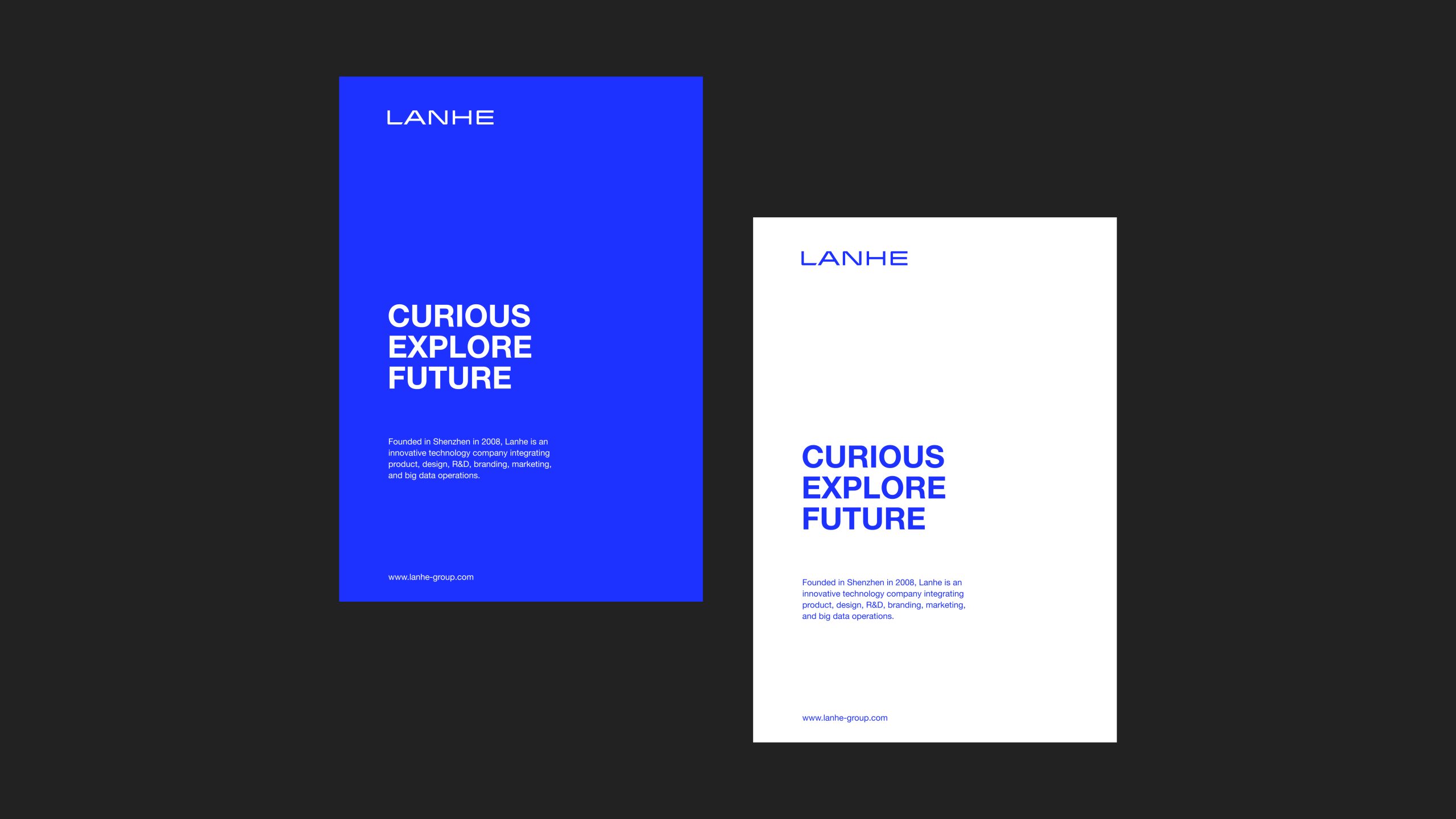 蓝禾视觉升级—平面 画板 1 副本 16